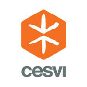 CESVI (Pakistan)